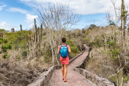 La nueva conexión aérea Cuenca–Galápagos impulsará el turismo.