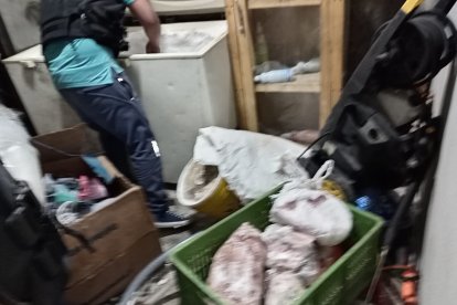 La carne fue retirada de la casa de Calderón.