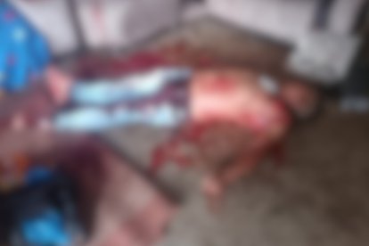 El cadáver quedó tendido en la sala del domicilio.