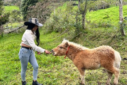 En las quintas y fincas permiten a los visitantes participar de las actividades del campo.