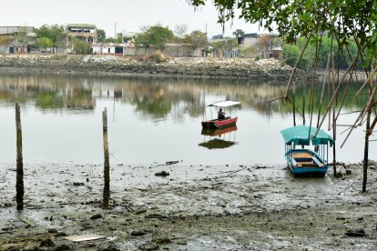 Moradores de Isla Trinitaria, en alerta por atroz hallazgo.