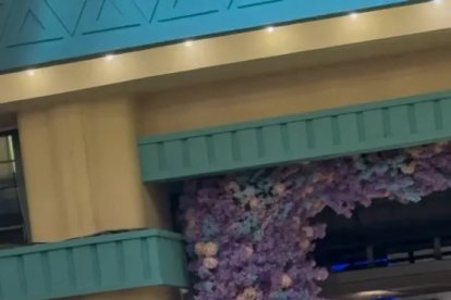 Captura de pantalla del instante en que  Cynthia Erivo defiende a Ariana del emocionado fanático.