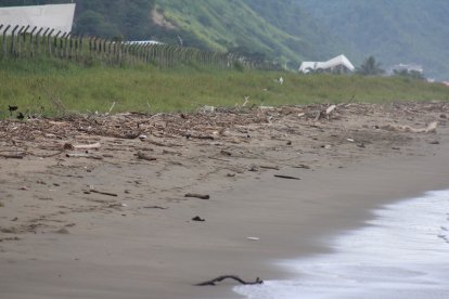 Vista de la playa Las Palmas, sector donde se registró el hallazgo que conmocionó a la comunidad.