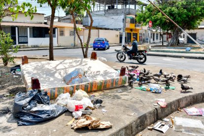 Un redondel, en la Floresta, es usado diariamente para botar basura.