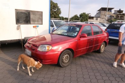 El taxista manejó herido hasta la unidad policial donde le auxiliaron.