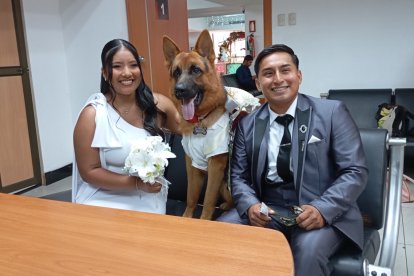 Ahora es posible que las mascotas también estén presentes en las ceremonias.