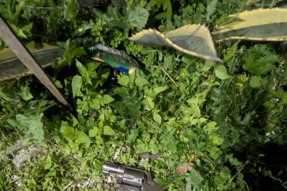 Este fue el revólver que habría utilizado el sujeto.