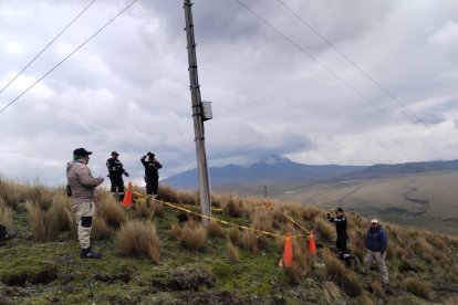 El cóndor está en peligro crítico en Ecuador.