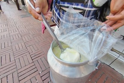 La cuajada se hace con leche recién ordeñada de la vaca.