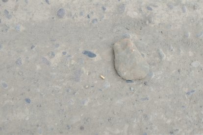 Uno de los indicios balísticos hallados en la escena del crimen, sobre el pavimento de la vía rural donde fue asesinado un hombre en la Loma del Cóndor.