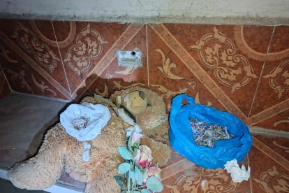 Lo hallado en los operativos.