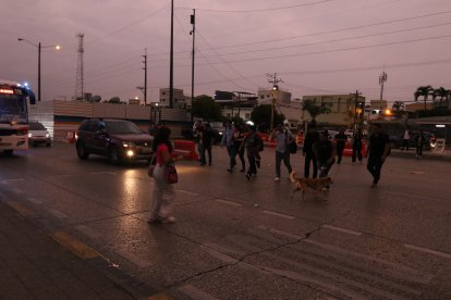 Hasta los animales peligran al cruzar la avenida Juan Tanca Marengo.
