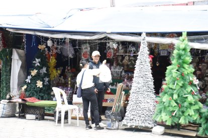 Los clientes buscan de todo para adornar sus domicilios por estas fechas.