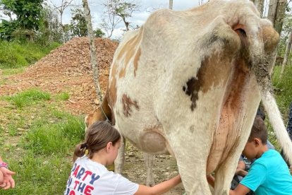 Los visitantes pueden aprender sobre el ordeño de vacas y más actividades del campo.