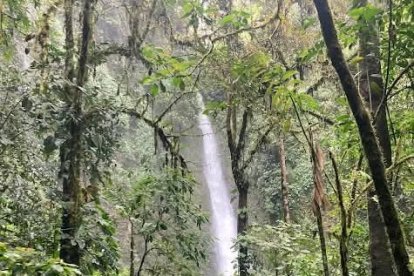 En la comunidad cuidan el agua de las vertientes.