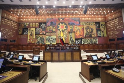 La Asamblea Nacional decide el futuro de Mario Godoy.