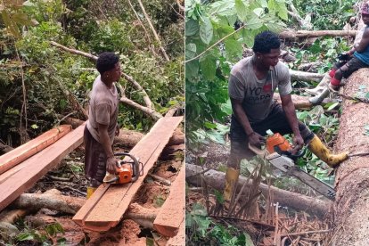 Quiñónez inicia desde las 05:00 su actividad como leñador en San Lorenzo.