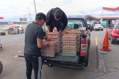 Los avicultores mencionan que los intermediarios son quienes sacan provecho a este mal momento.