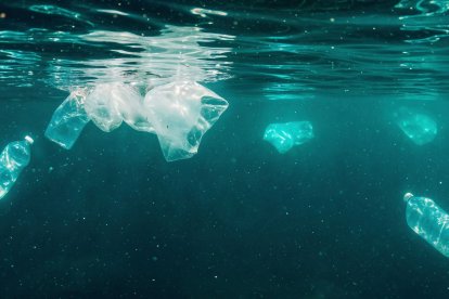 Plásticos de un solo uso alcanzan el océano y permanecen allí durante años, dañando la biodiversidad.