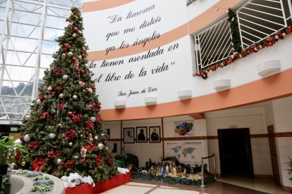 En el espacio principal hay un árbol de más de cuatro metros de altura.