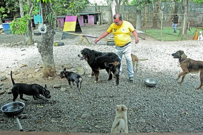 El instructor Johan Plaza con algunos de los perros que pasarán Navidad con él.

PERIODISTA: DIEGO ALVARADO.

.
AG-EXTERNOS.