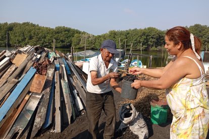 Don Carlos Lindao vende carbón artesanal en El Morro.