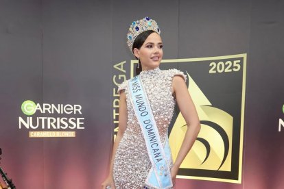 Peinó a Mayra Delgado, Miss Mundo Dominicana, para una alfombra roja.