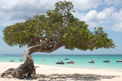 Aruba, entre las opciones de los ecuatorianos para viajar en Carnaval 2026.