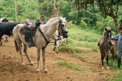 Andar a caballos es otra de las  actividades recreativas.