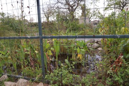 La maleza crecida se toma las camineras del BUN, mientras el espacio permanece cerrado.