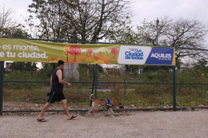 Los caminantes apenas observan de lejos las plantas de esta pulmón de la ciudad.