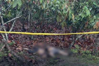 Atroz hallazgo en Los Ríos.