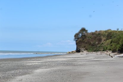 Entre manglares y mar, Bocana de Ostiones invita a descubrir su playa