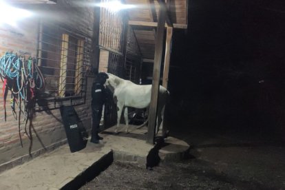 El afectado fue convocado por su hermana a una propiedad en las afueras de Pifo.