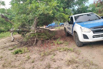 Los cadáveres fueron hallados en la ruta que debieron recorrer los jóvenes para llegar desde Pedro Carbo a Santa Elena.