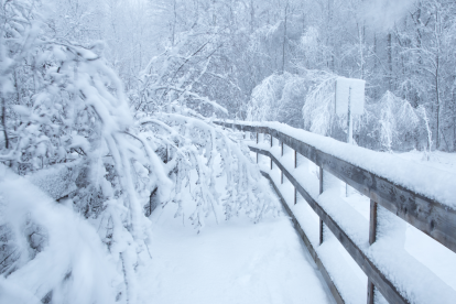 Carreteras cubiertas de nieve y hielo durante la tormenta invernal en Estados Unidos 2026, que afecta a decenas de estados con temperaturas récord.