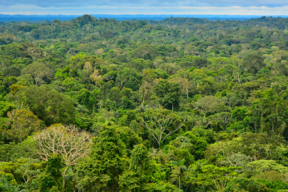 El accidente ocurrió en la Amazonia ecuatoriana.