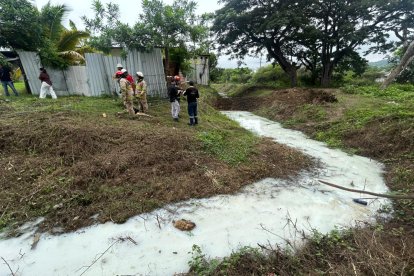 El vehículo de carga pesada cayó en una zanja, derramando una sustancia hacia el agua.