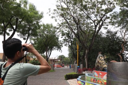 Este es un recorrido de aves que se suele hacer en el Malecón del Salado.