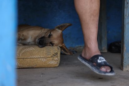 A pesar de su vida tranquila, su sueño es regresar a Estados Unidos. Espera el dinero que enviará su esposa para pagar a un coyotero.