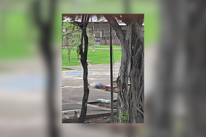 El cuerpo quedó tendido en el parque.