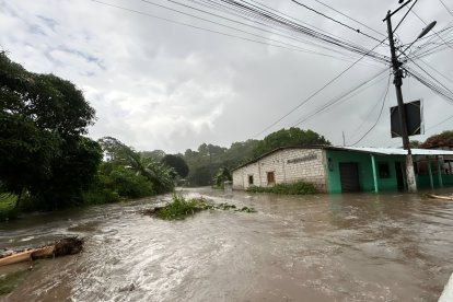 Corrientes de agua turbia arrastraban hojas, ramas y basura.

ag - periodista
ag - granasa