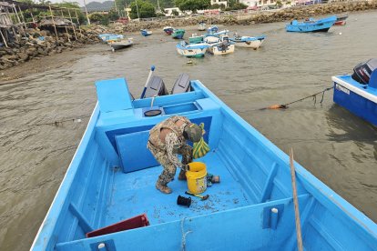 Las Fuerzas Armadas también se han desplegado en territorio marítimo