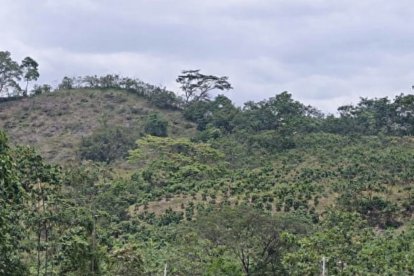 El ataque se cometió a dos kilómetros del centro poblado de la parroquia Pueblo Nuevo.