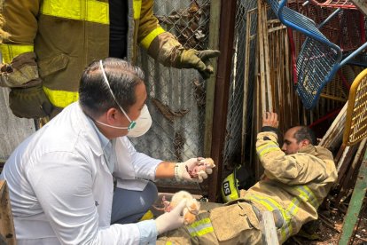 Bomberos mientras rescataban a gatitos durante el incendio.