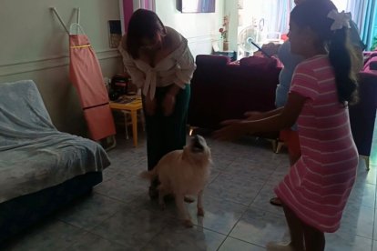 A veces basta un aplauso en casa para que Sam haga sus movimientos.