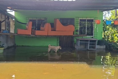 En esta casa, los habitantes alzaron sus muebles sobre cañas.