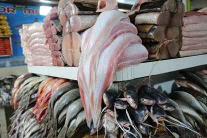 Este es un corte de una corvina real.