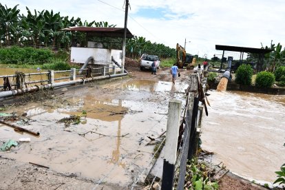 Productores de banano alertan sobre el desborde de esteros.