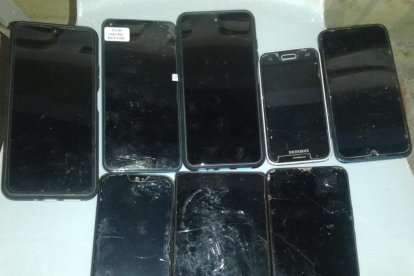 Los indicios decomisados en el sector Potrerillos, provincia de Loja, fueron ingresados al Centro de Acopio de Indicios y Evidencias bajo cadena de custodia.